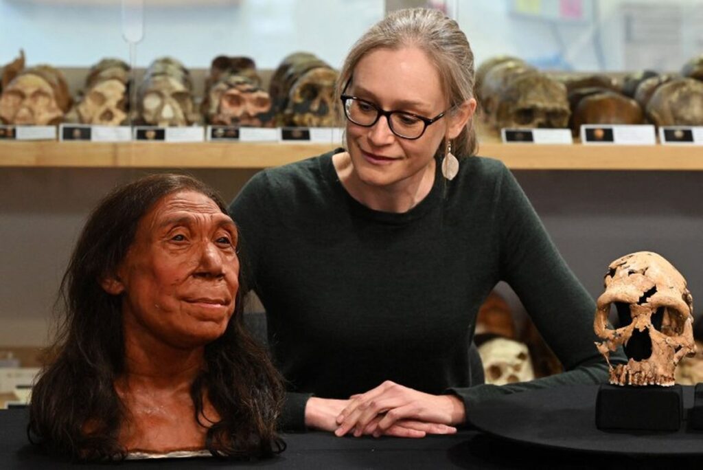 Homo Sapiens