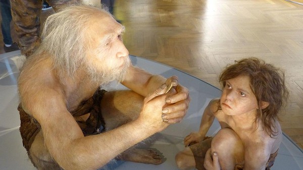 Homo Sapiens